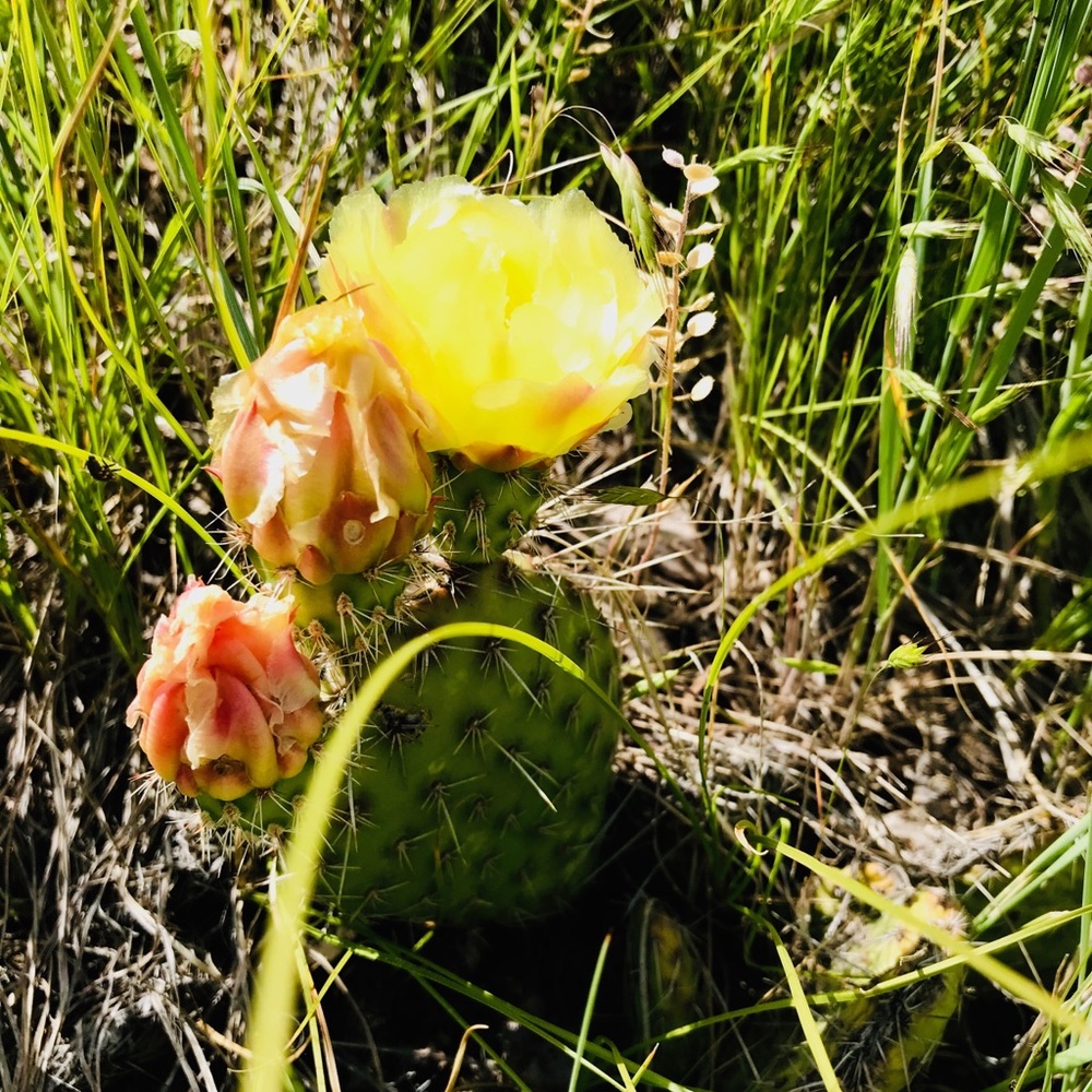 Hey, I'm Lindsay. Thanks for stopping by. : )